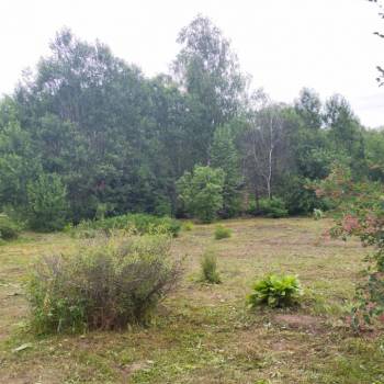 Продается Участок, 800 м²