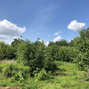 Продается Участок, 700 м²