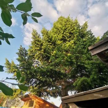 Продается Участок, 390 м²