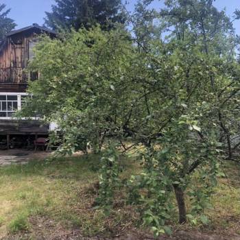 Продается Участок, 450 м²