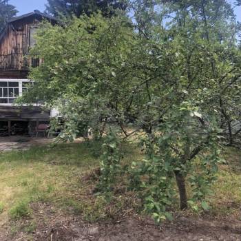 Продается Участок, 450 м²