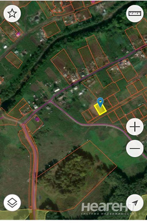 Фотография №3