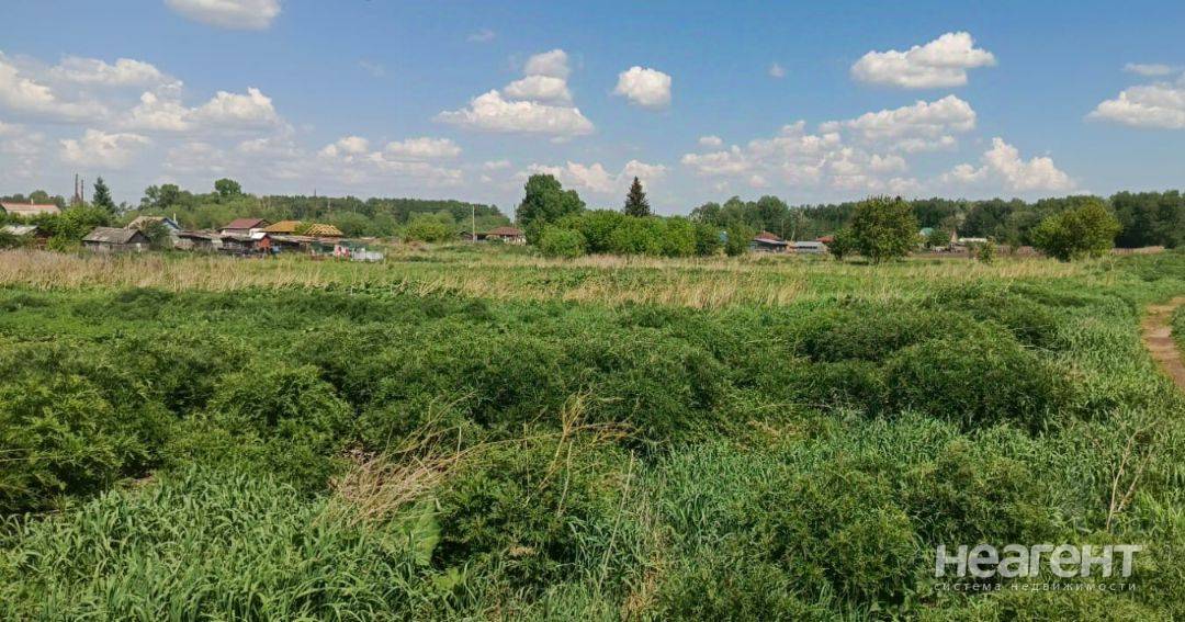 Фотография №5