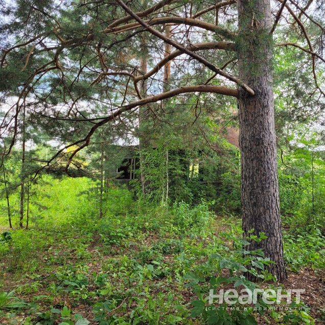 Фотография №4