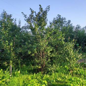 Продается Участок, 400 м²