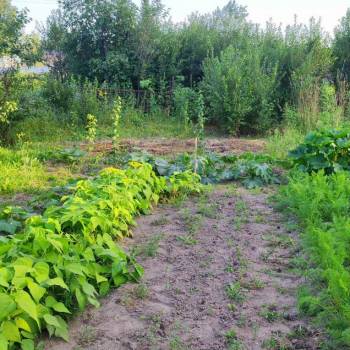 Продается Участок, 400 м²