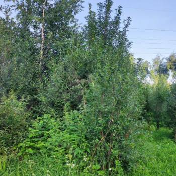 Продается Участок, 400 м²