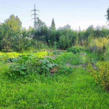 Продается Участок, 400 м²