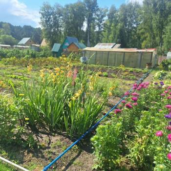 Продается Дом, 20 м²