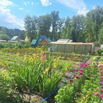 Продается Дом, 20 м²