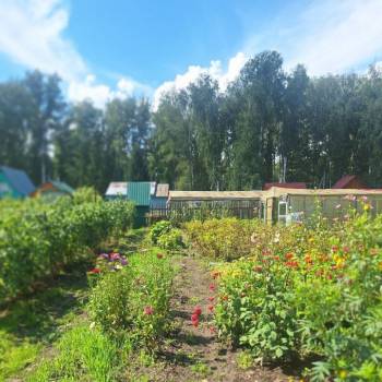 Продается Дом, 20 м²