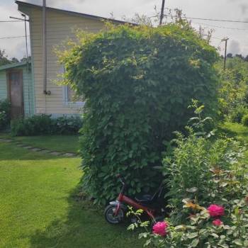 Продается Дом, 50 м²