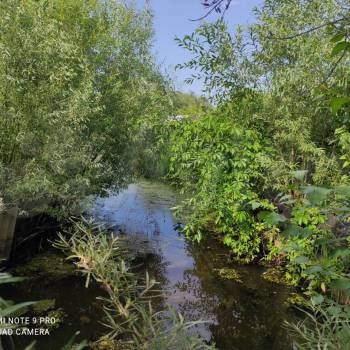 Продается Дом, 50 м²