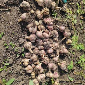 Продается Дом, 50 м²