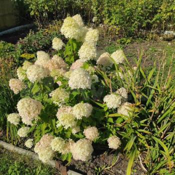 Продается Дом, 50 м²