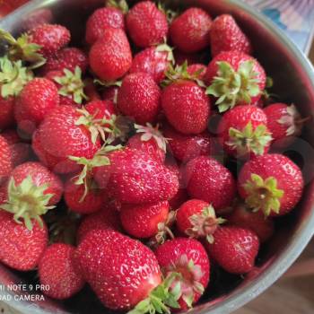 Продается Дом, 50 м²