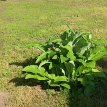 Продается Участок, 880 м²