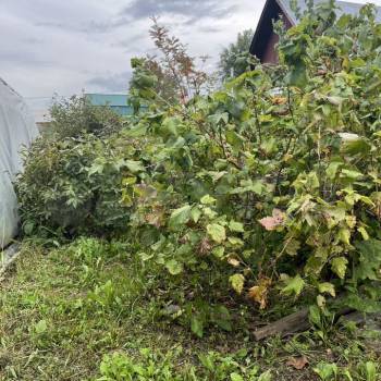 Продается Участок, 880 м²