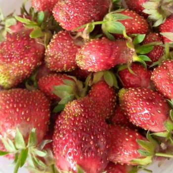 Продается Дом, 20 м²