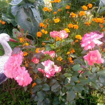 Продается Дом, 80 м²