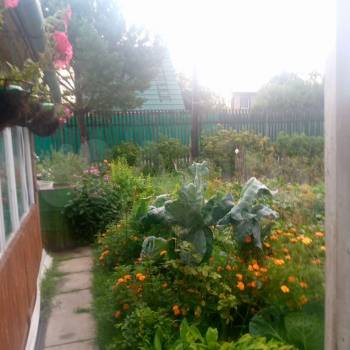 Продается Дом, 80 м²