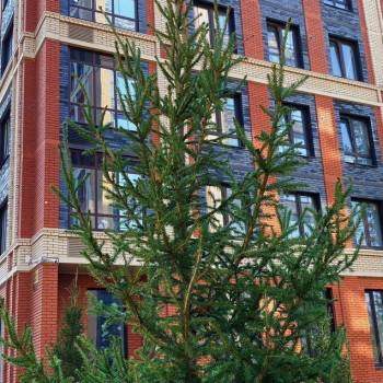 Продается 2-х комнатная квартира, 43 м²