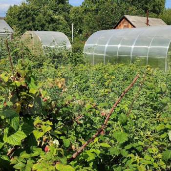 Продается Дом, 40 м²