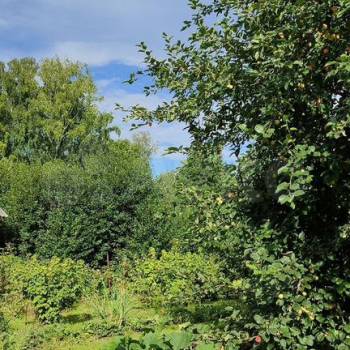 Продается Дом, 40 м²