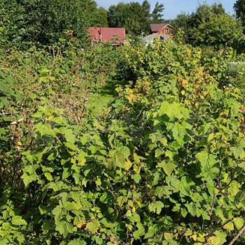 Продается Дом, 40 м²