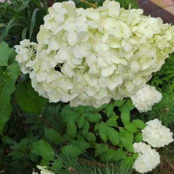 Продается Дом, 210 м²