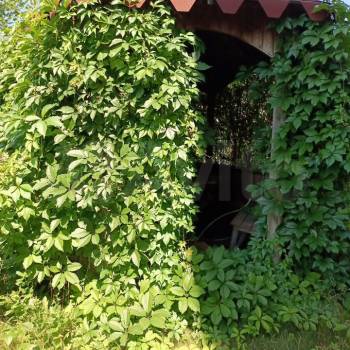 Сдается Дом, 411 м²