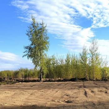 Продается Участок, 1000 м²