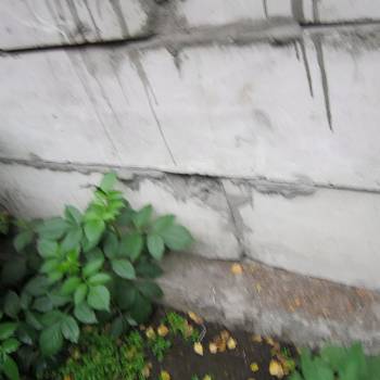 Сдается Дом, 42 м²