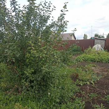 Продается Участок, 600 м²