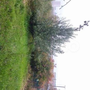 Продается Дом, 30 м²