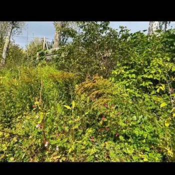 Продается Участок, 330 м²