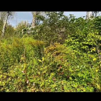 Продается Участок, 330 м²