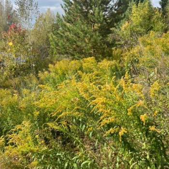 Продается Участок, 330 м²