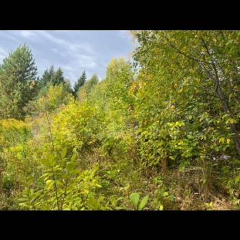 Продается Участок, 330 м²