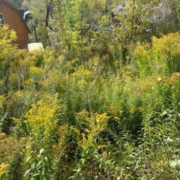 Продается Участок, 330 м²