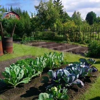 Продается Дом, 12 м²