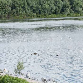 Сдается 2-х комнатная квартира, 54,4 м²