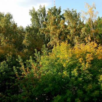 Продается 3-х комнатная квартира, 58 м²