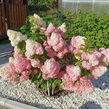 Продается Дом, 72 м²