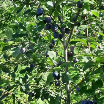 Продается Участок, 1890 м²