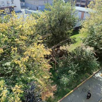 Продается 1-комнатная квартира, 32,2 м²