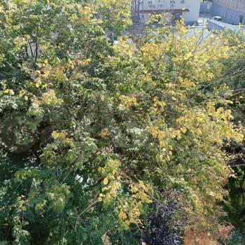 Продается 1-комнатная квартира, 32,2 м²