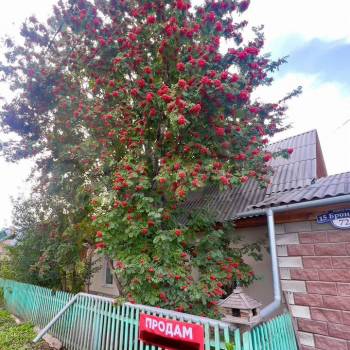 Продается Дом, 63 м²