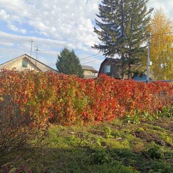 Продается Участок, 652 м²