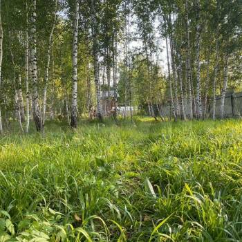 Продается Участок, 600 м²